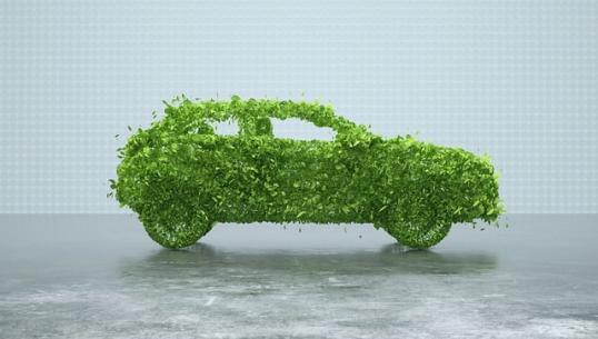 Image of a green leaves forming a car