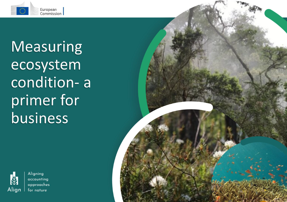 Align - Measuring ecosystem condition. A primer for business