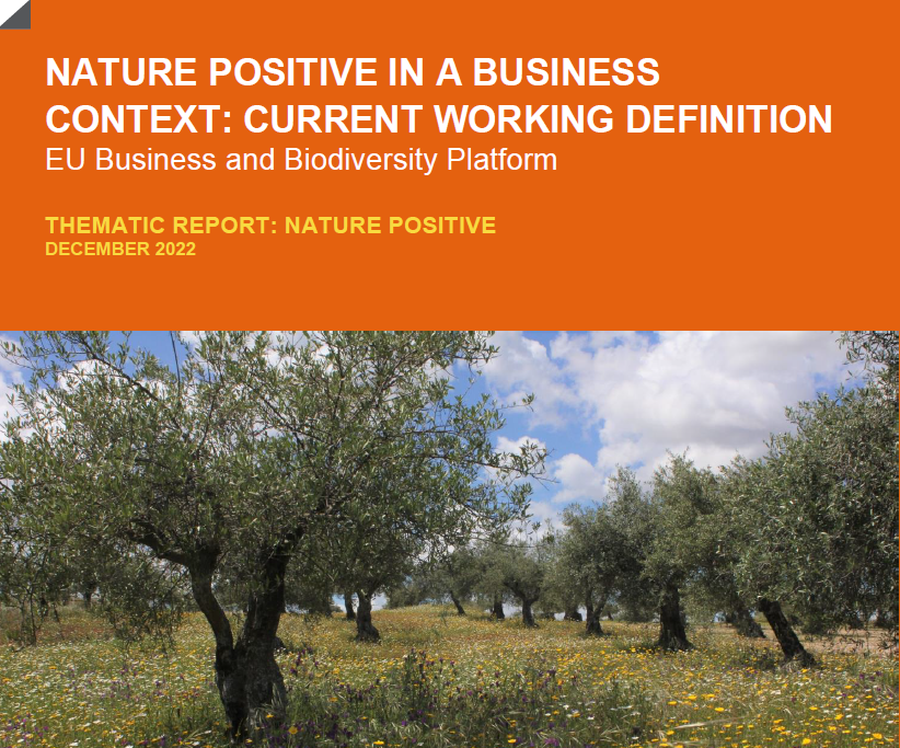 B&B Thematic Report on Nature Positive (2022)