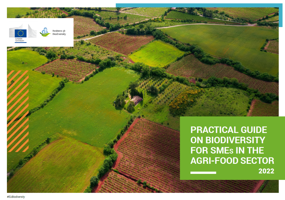 B&B Practical Guide on Biodiversity for SMEs in the Agri-Food Sector (2022)