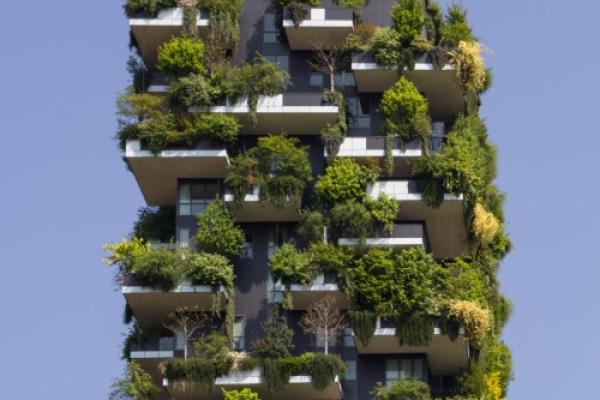 skyscraper with green plants on it