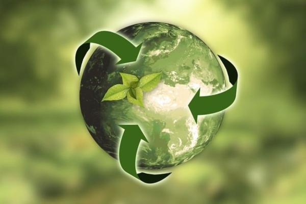 A green world with sustainability crossovers