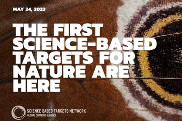 Science-Based Targets for Nature