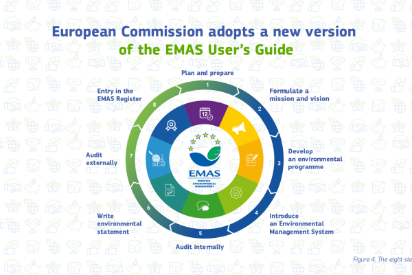 The eight steps of the EMAS User’s Guide