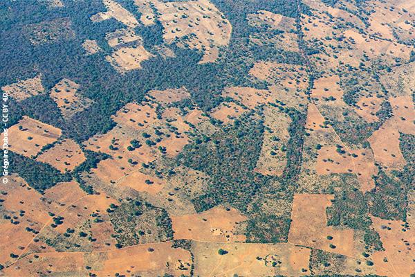 Competition for land and deforestation (NW Zimbabwe)